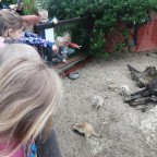 Výlet ZOOPARK Stěžery