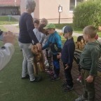 Program Interhaf