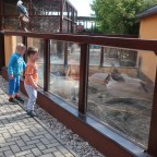 Výlet Bítovany - Motýlci