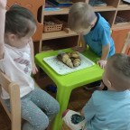 Jarni pokusy a výšlap - Zajíčci
